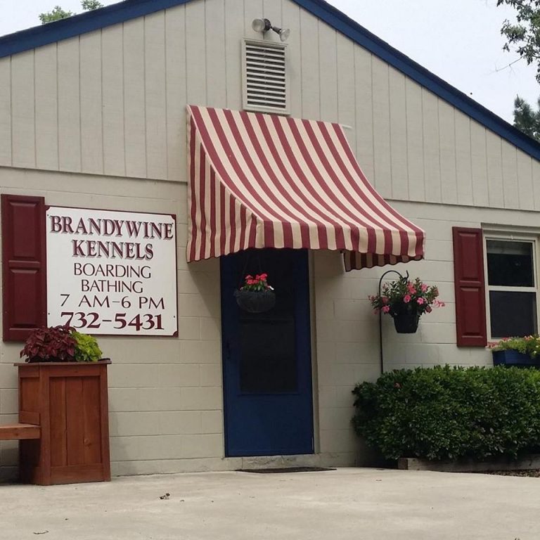 Brandywine Kennels Dog Boarding and Bathing in Petersburg, VA