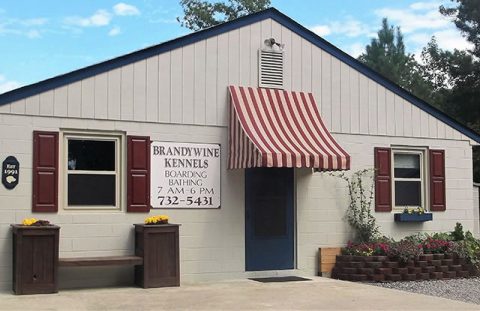 Brandywine Kennels Office